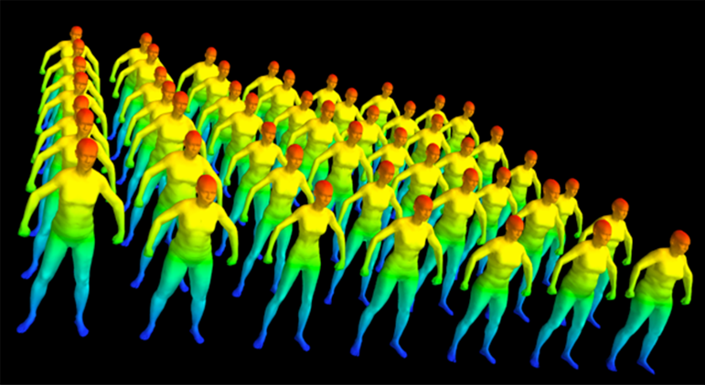 bodies
