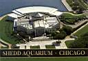 shedd-aquarium.jpg
