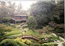 japanesegarden.jpg