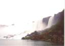 Nigral-Fall-2