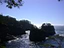 Cape_Flattery1.JPG