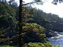 Cape_Flattery2.JPG