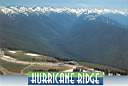 Hurricane_Ridge.jpg