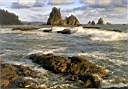 Sea_Stacks_North_of_La_Push.jpg