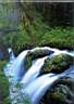 Sol_Duc_Falls.jpg