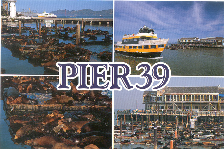 https://www.dam.brown.edu/people/glin/SEA-SFO/SFO/SFO_Postcards/Pier_39.jpg