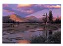 Lembert_Dome&Tuolumne_River.jpg