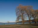 cayuga_lake.jpg